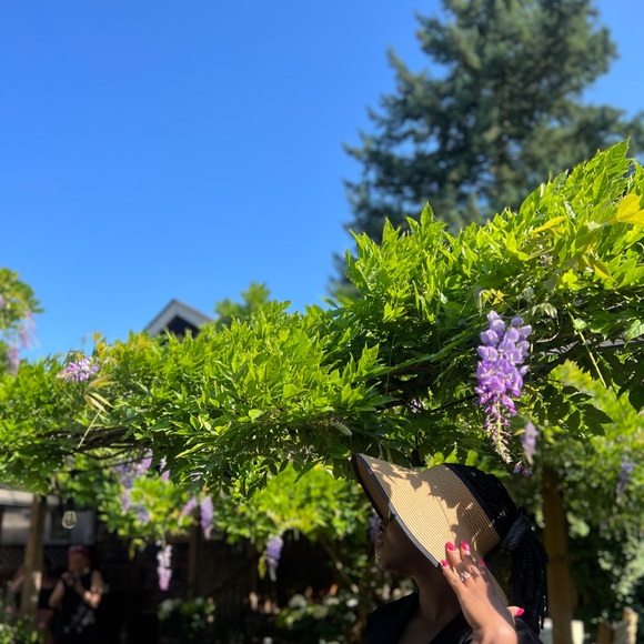 olaflowerpower